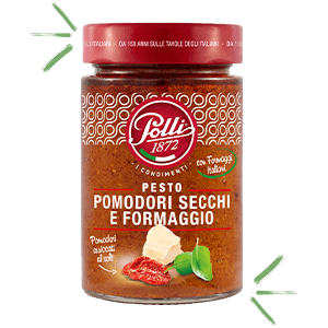 Pesto aus sonnengetrockneten Tomaten und K&auml;se